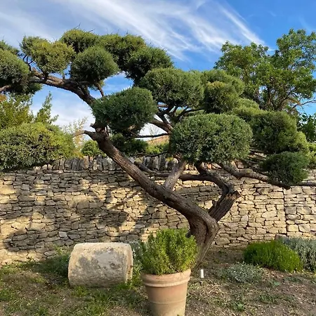 Mas Sylvie - Isle-sur-la-sorgue Holiday home L'Isle-sur-la-Sorgue