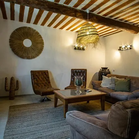 Mas Sylvie - Isle-sur-la-sorgue Holiday home *