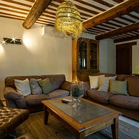 Mas Sylvie - Isle-sur-la-sorgue Holiday home *